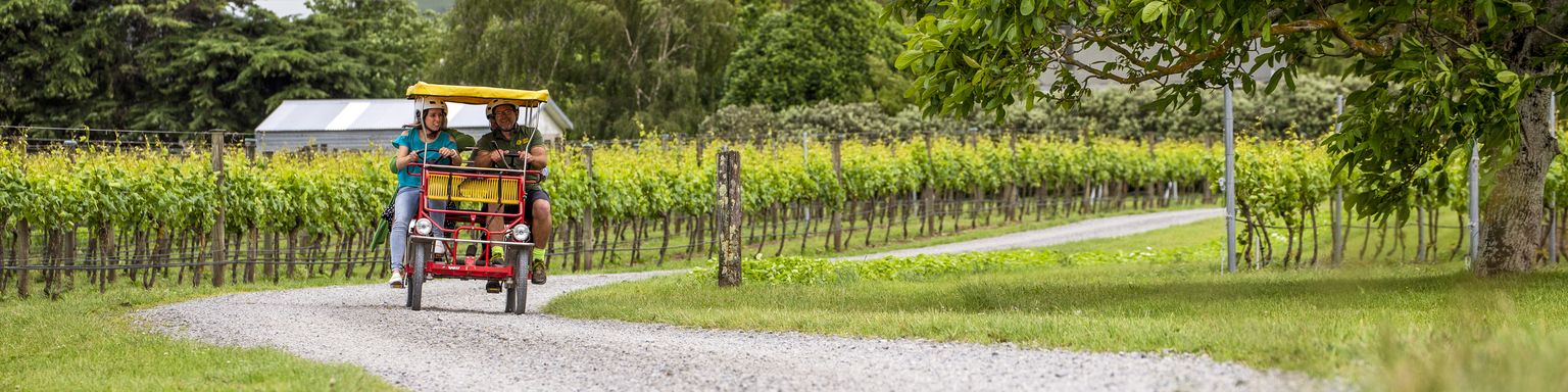 Riding through the vineyards in Martinborough, New Zealand