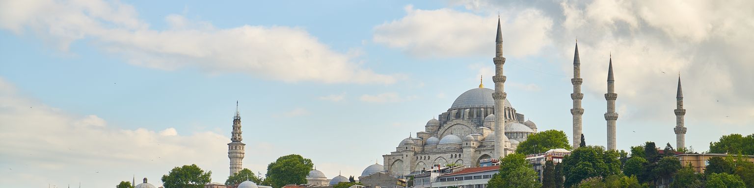 The Blue Mosque and tree line in Sultanahmet