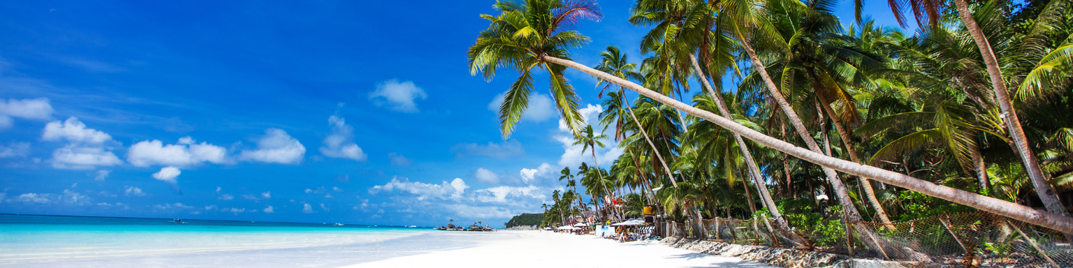 Palm trees on a white, sandy beach in Boracay