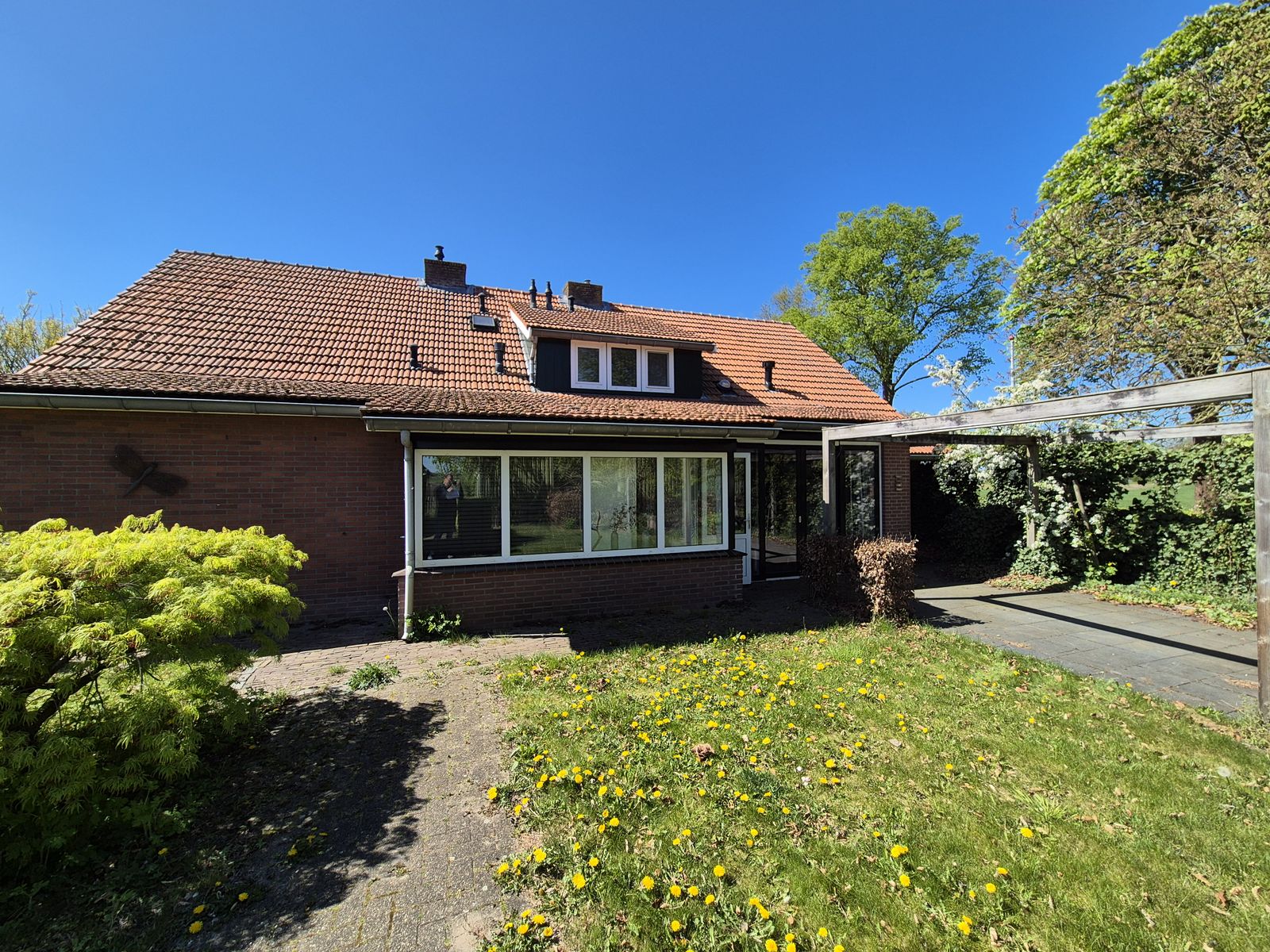 Zomerdijk, Bornerbroek