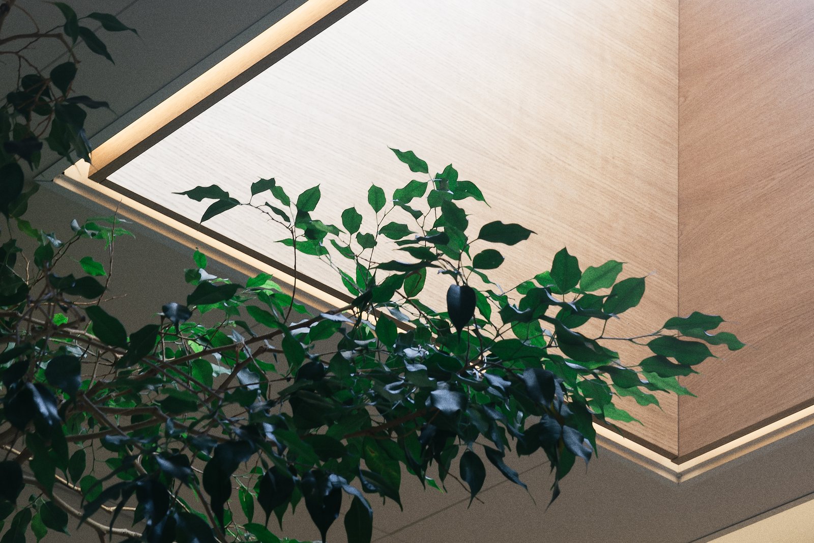 Bedow – Atrium branding and strategy