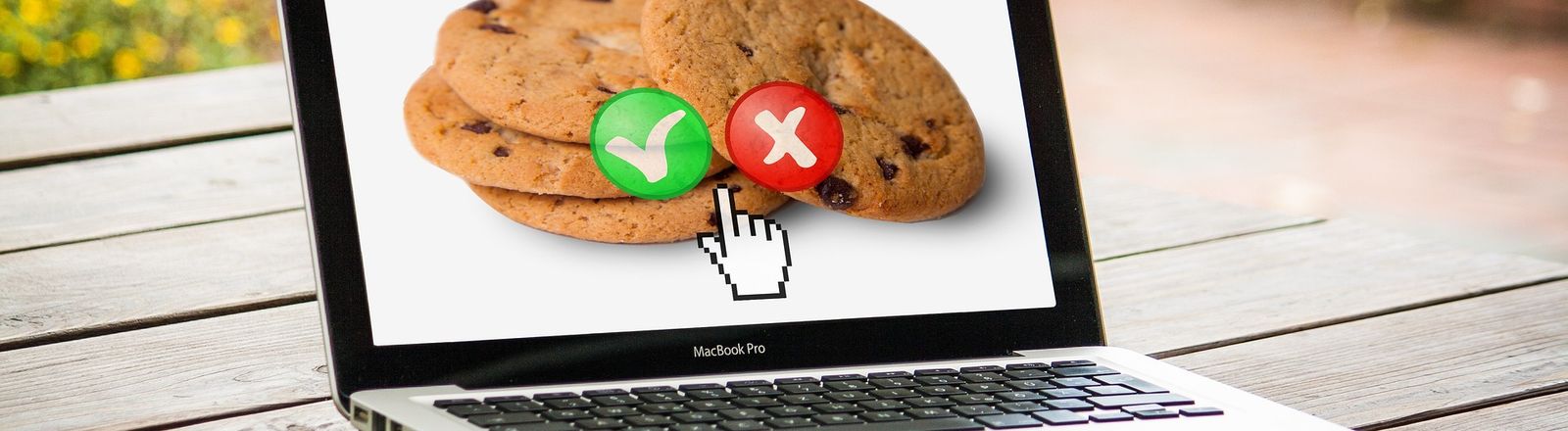 cookies-4803408_1920