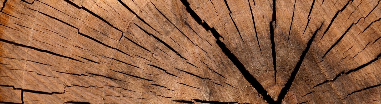 lumber_pixabay