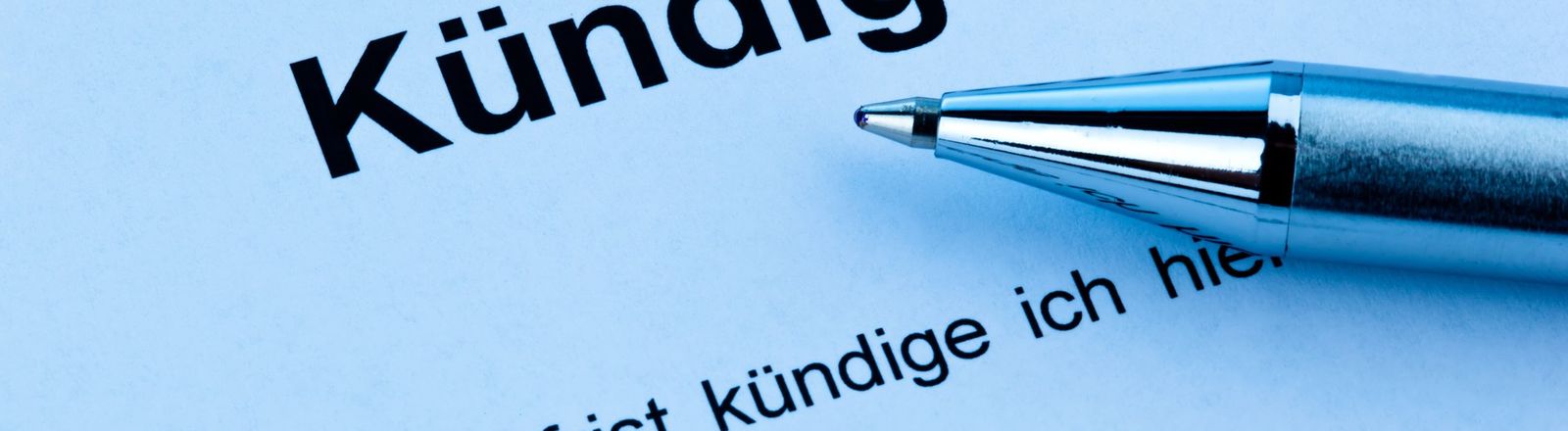 umfrage