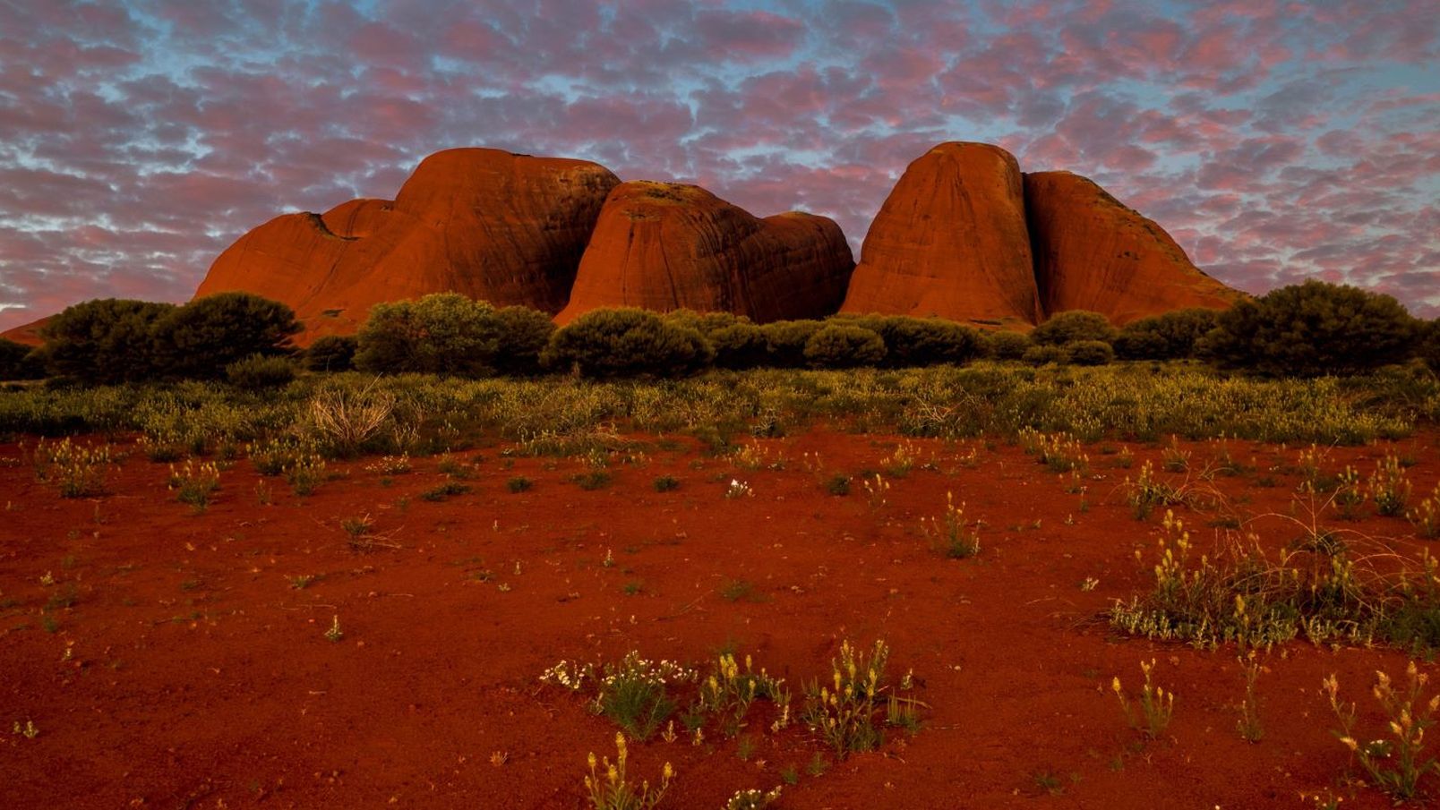 Front of Kata Tjuta NoCouple