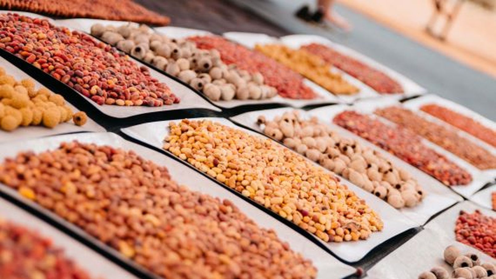 Bush tucker seeds at the kaarke indigenous tour in watarrka national park.jpg