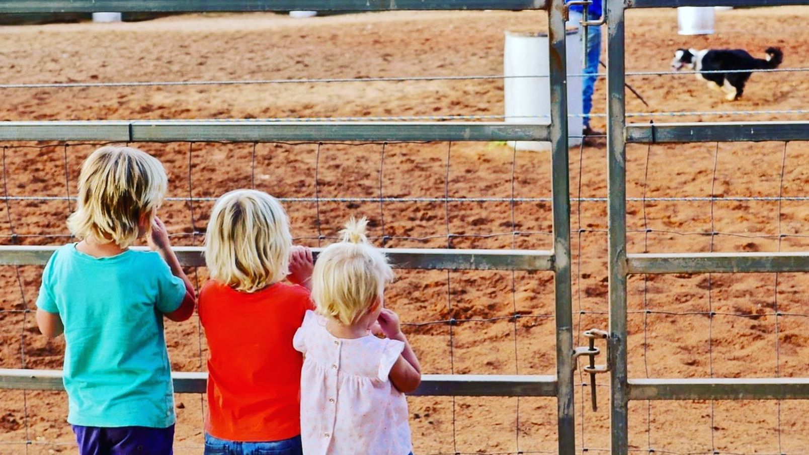 Three children watching Katherine Outback Experience 