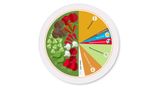The EAT-Lancet Planetary Health Plate