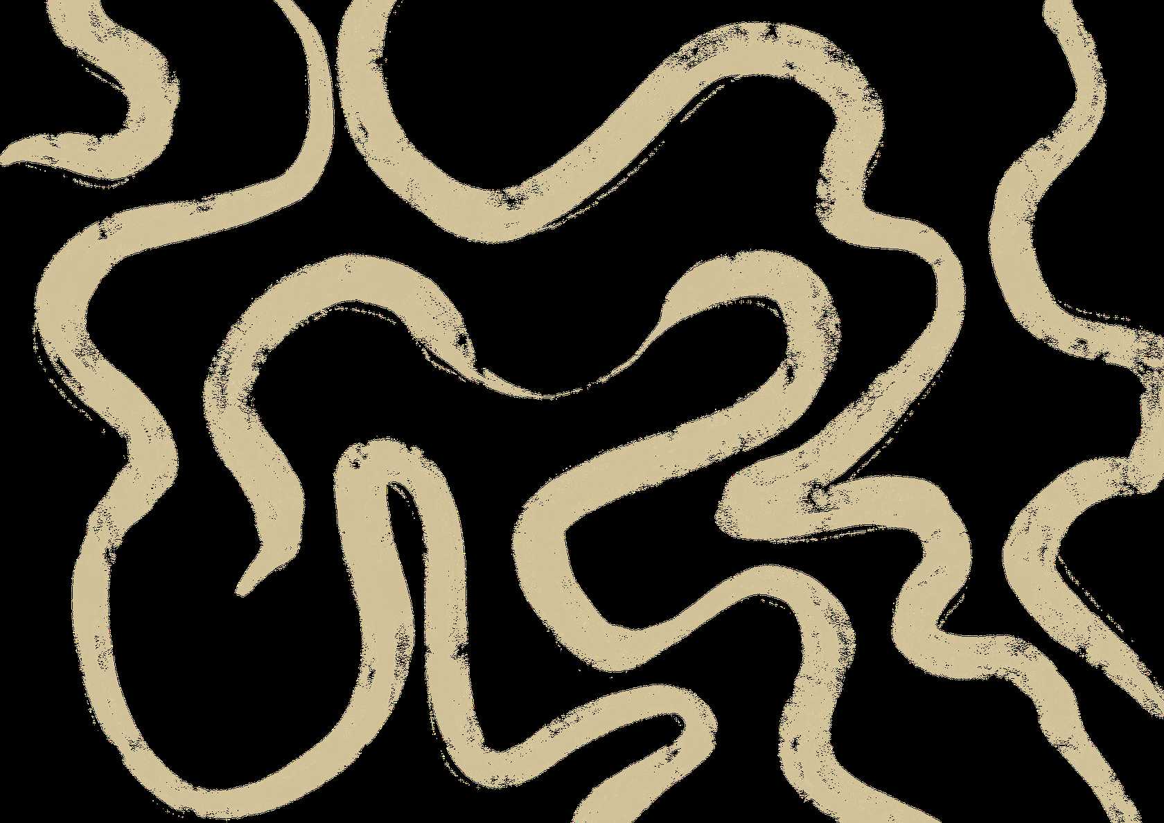 //a.storyblok.com/f/72502/3508x2480/8f5da6b6e7/mycelium-pattern-light-green.png