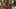 Placeholder for loading