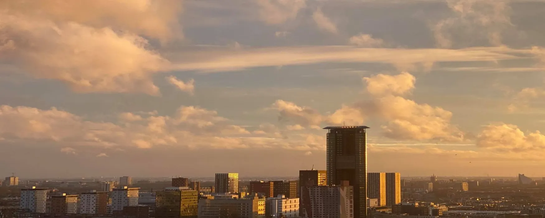 An unmissable skyline view of The Hague