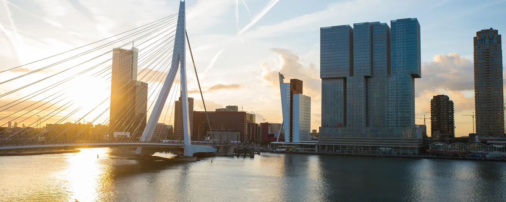 Rotterdam, Holandia: atrakcje piękne widoki nad miastem