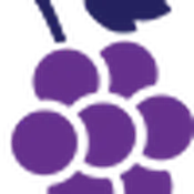 Illustration of a bunch of purple grapes hanging on the vine.