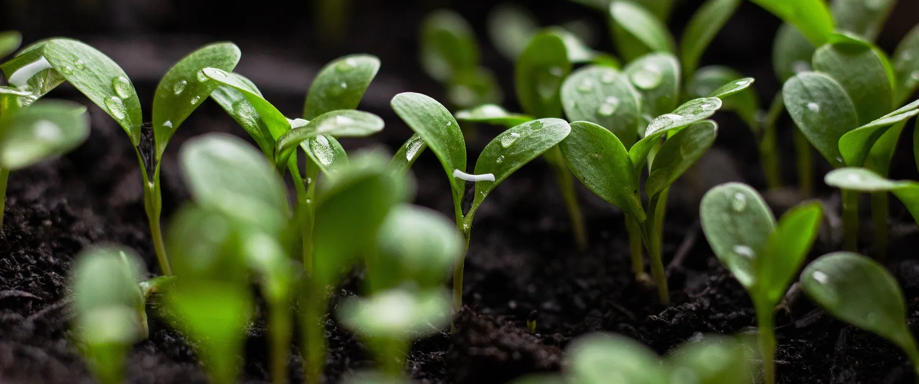 knowledge-hub header