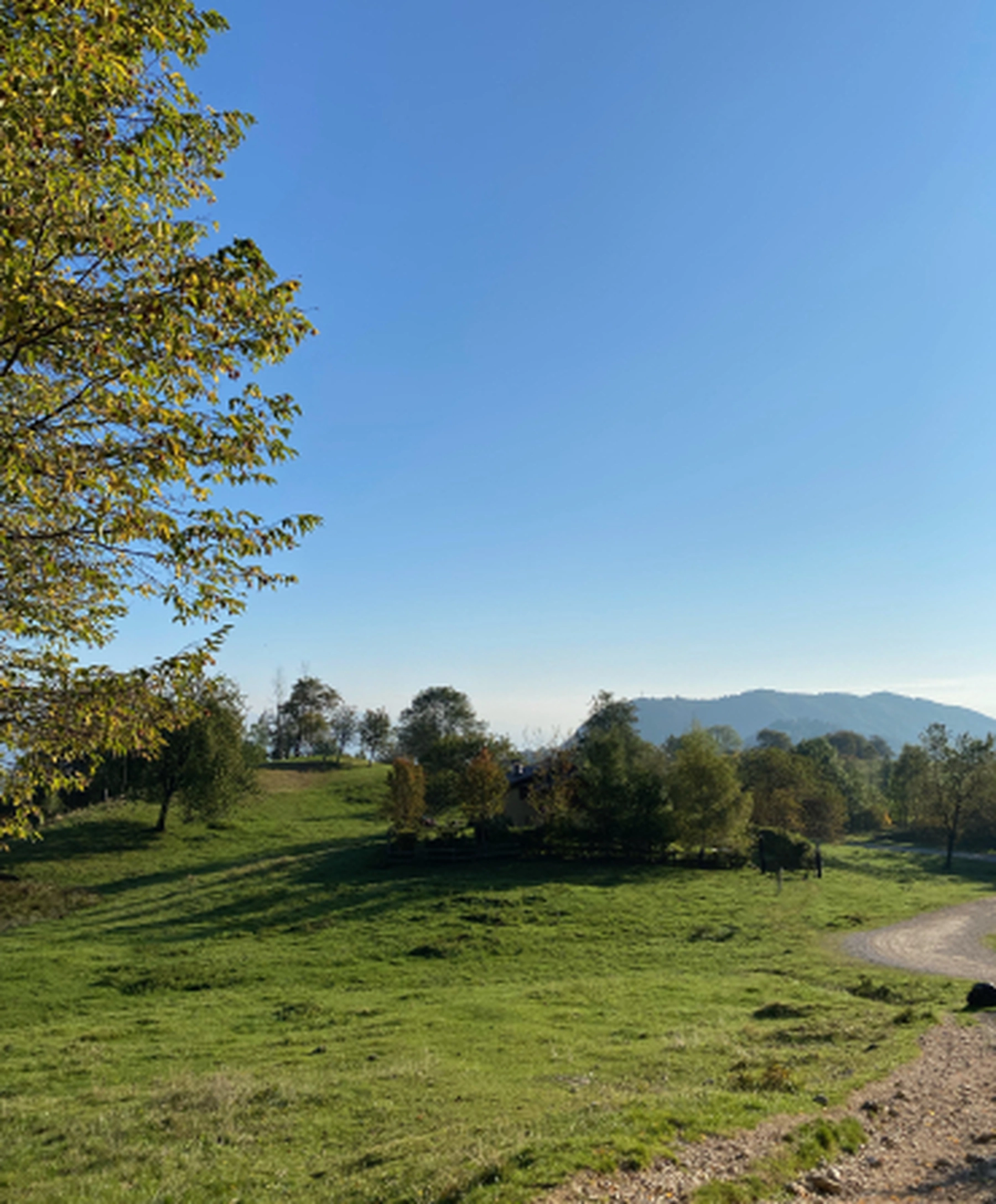il sentiero dei grandi alberi