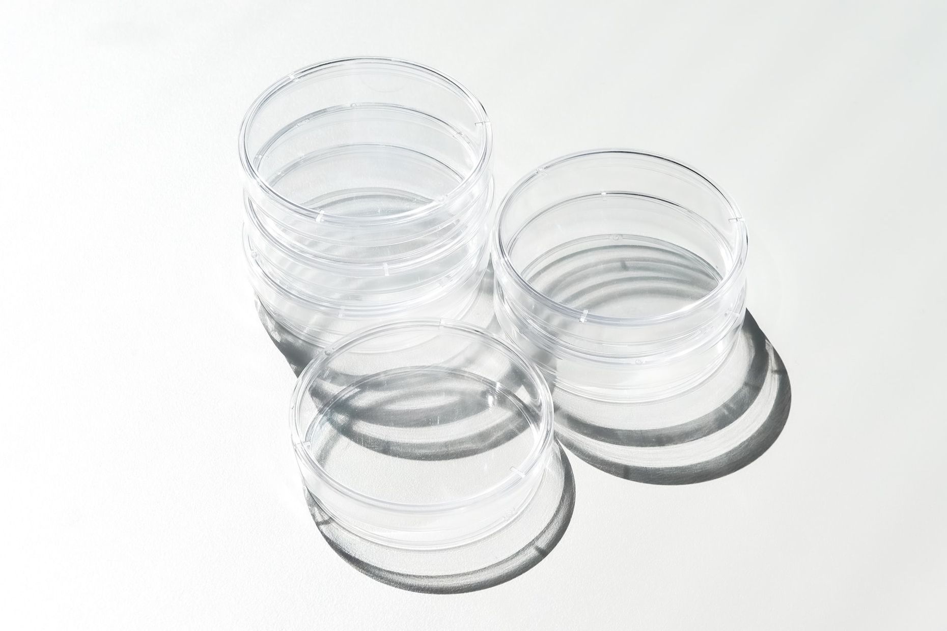 Three empty petri dishes