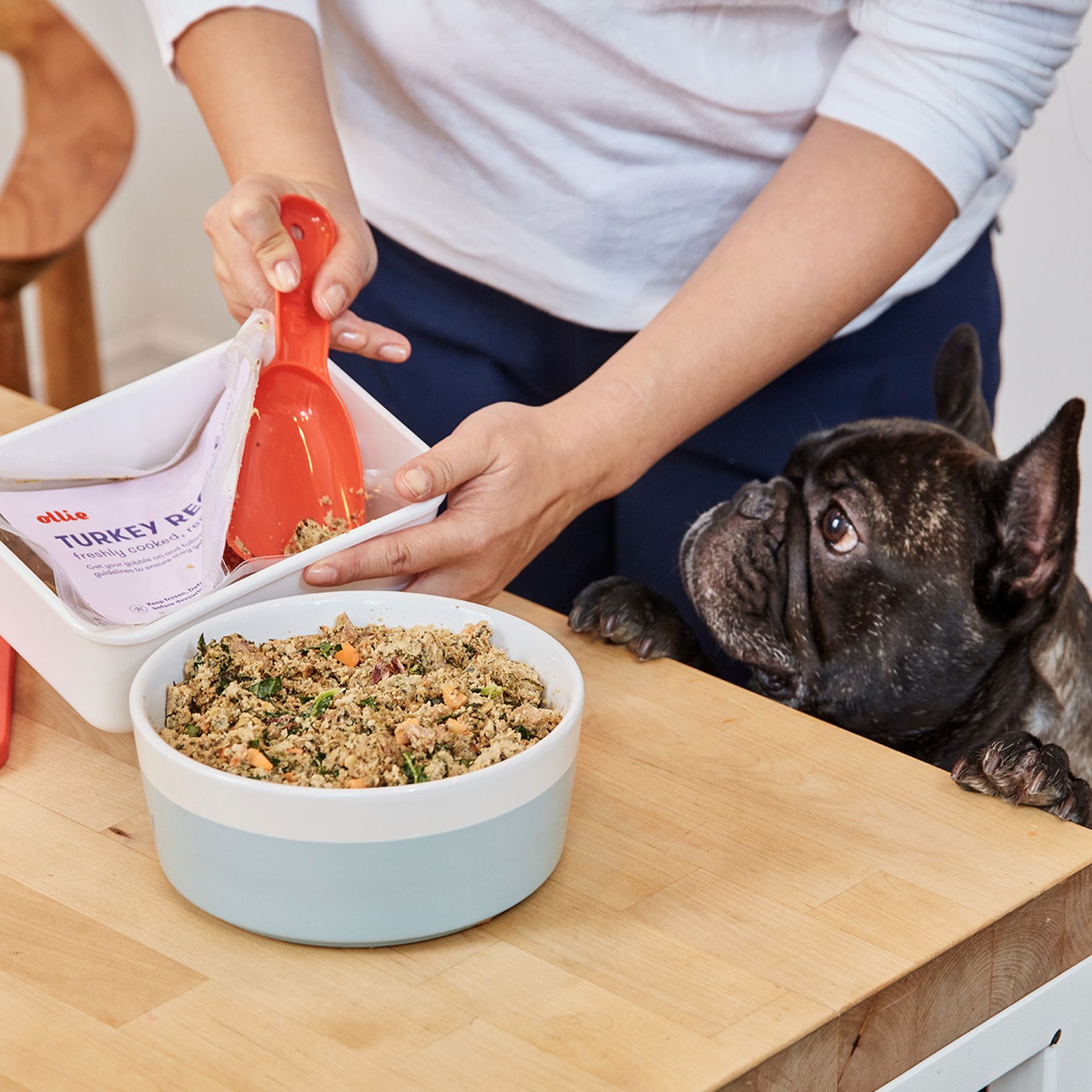 Fresh Turkey Dog Food with Limited Ingredients