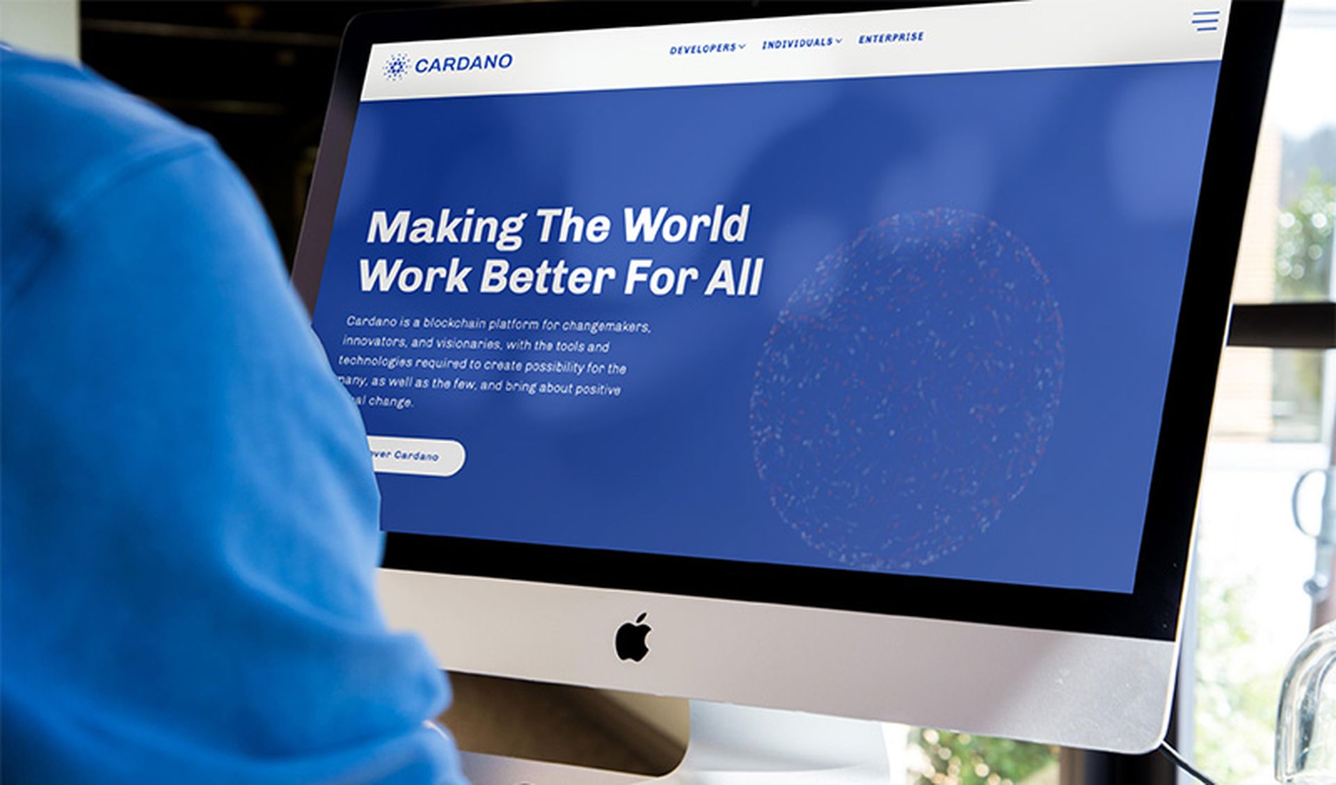 Website von Cardano