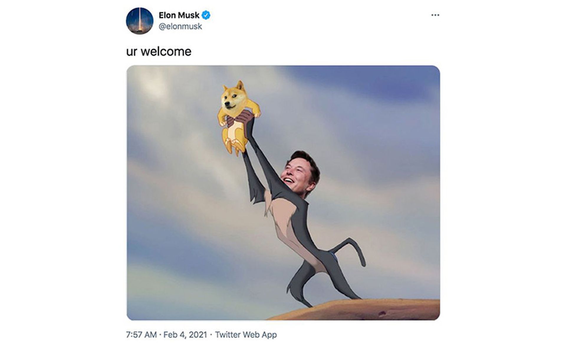 weiterer Elon Musk Dogecoin Tweet
