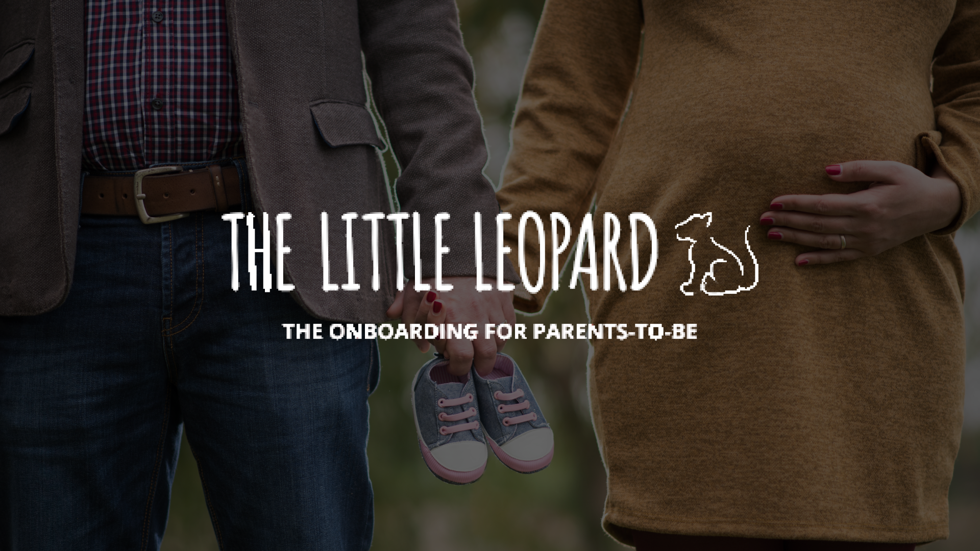 CSS video Little leopard