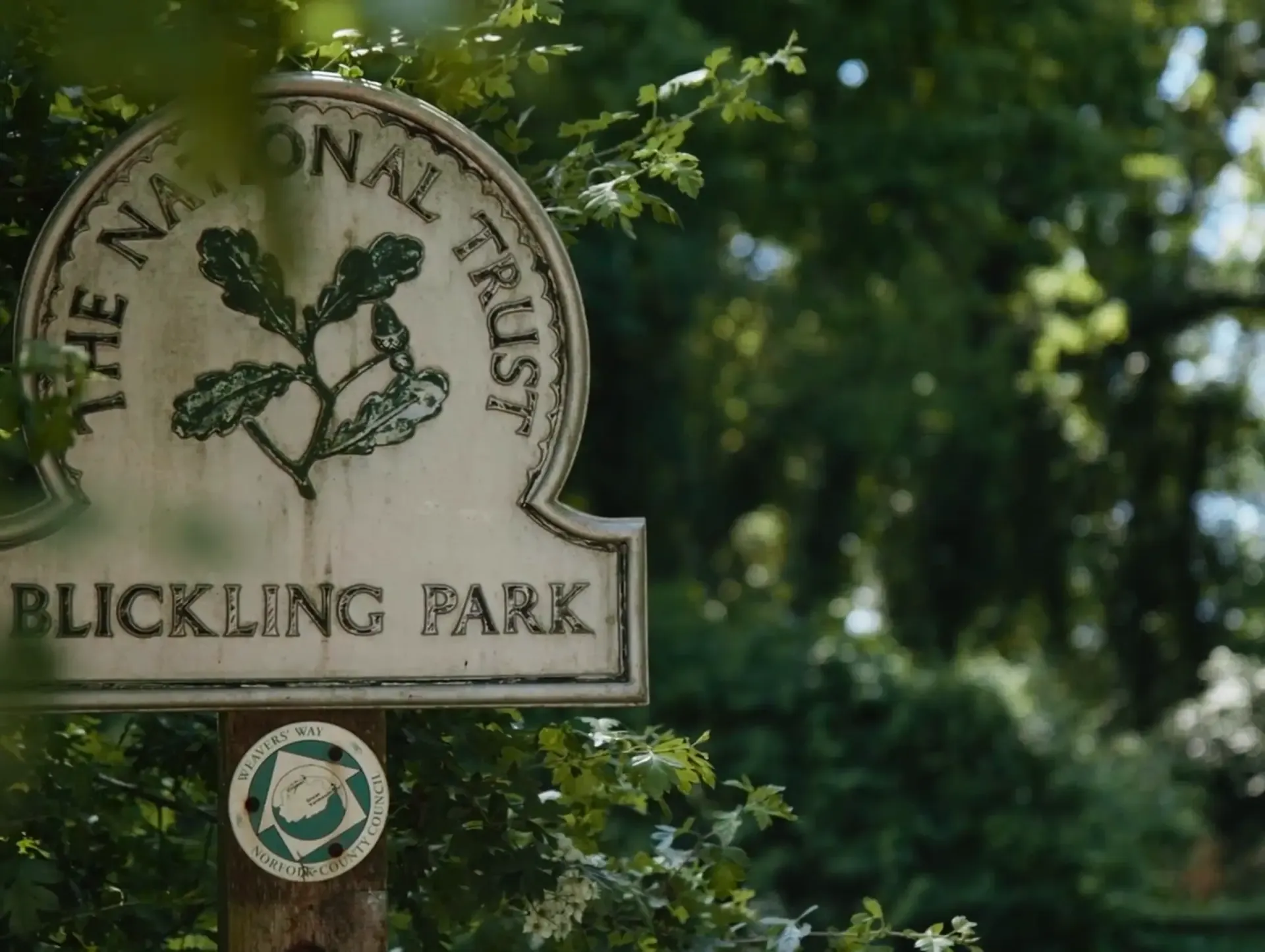 Close-up of the National Trust Blickling Park sign with oak leaf logo in greenery, Sound of National Trust