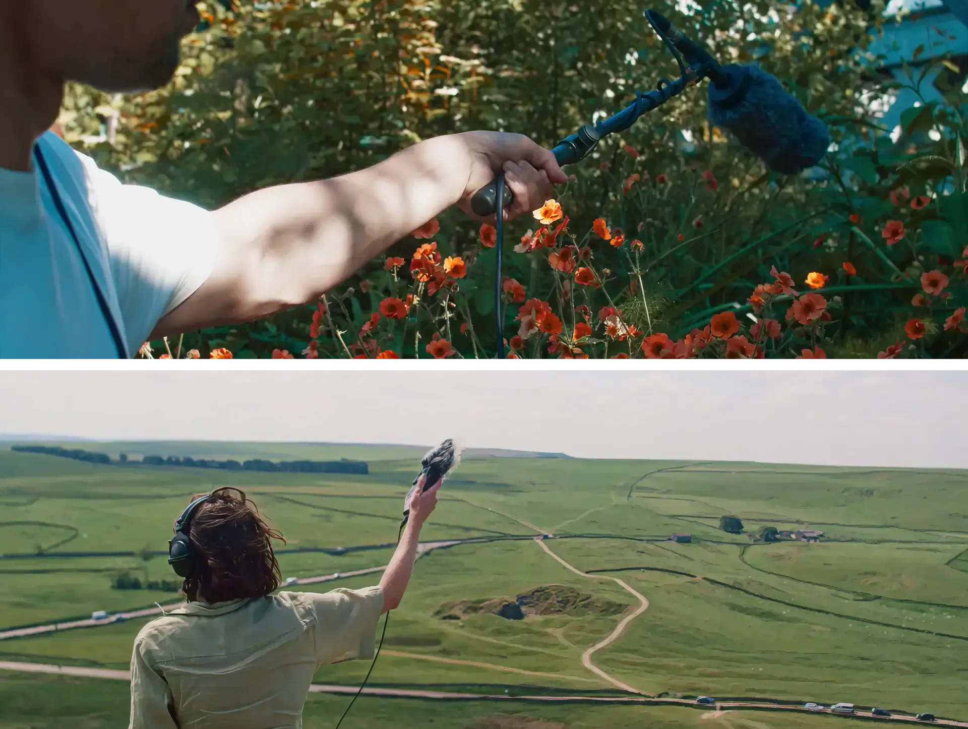Boom mic over orange wildflowers and a recordist on rolling green hills, Sound of National Trust campaign