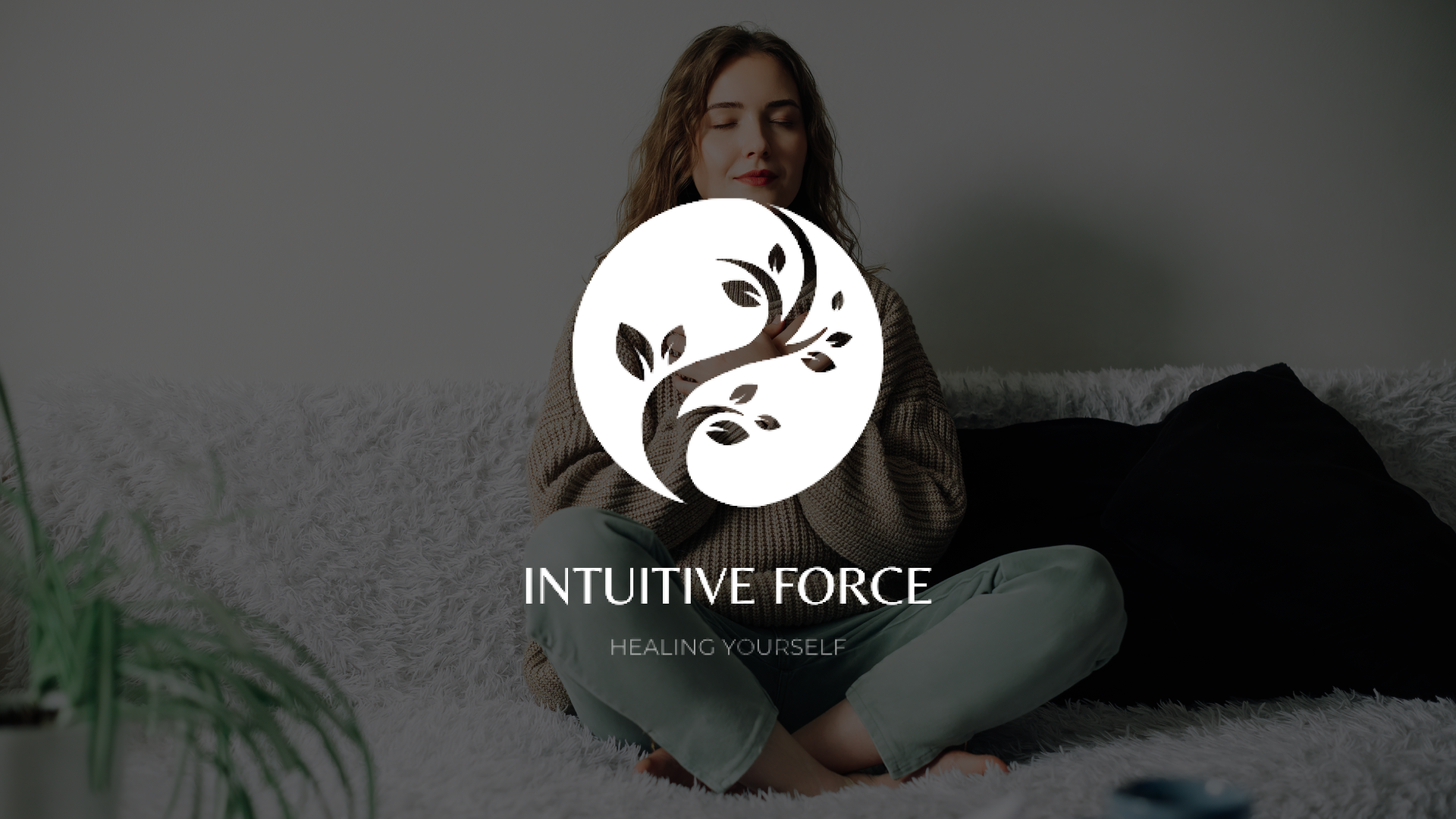 CSS video Intuitive Force