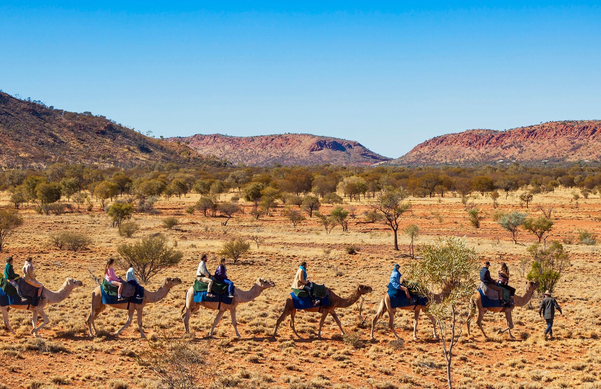 The Outback Experience