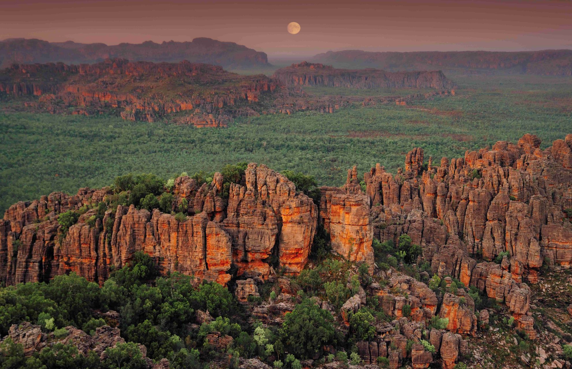 kakadu-national-park-logo-kakadu-animal-concept-icon-set-and-modern