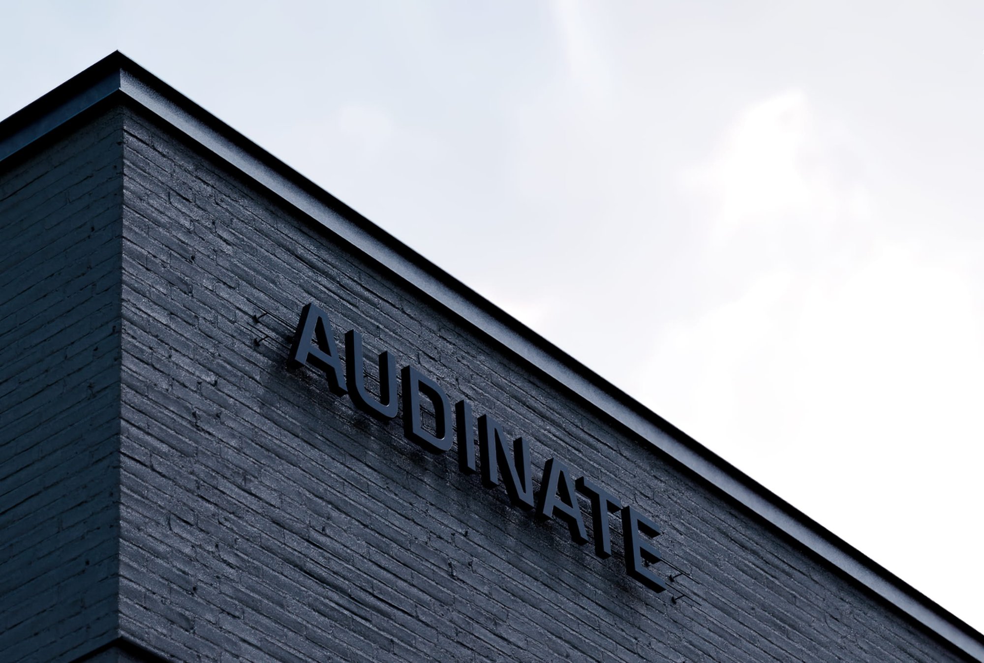 Bedow – Audinate brand strategy and design