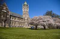 Tutor Q&A: Why I Chose the University of Otago