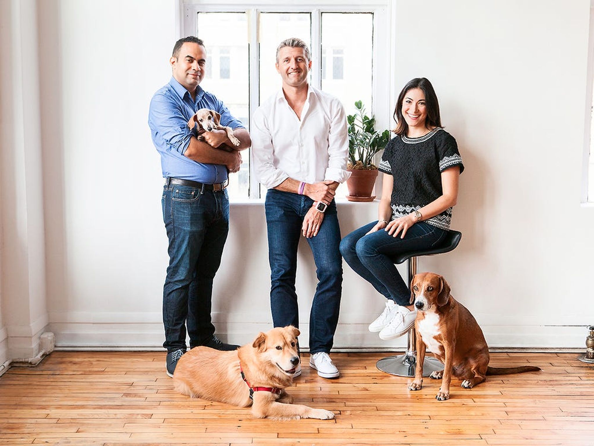 Ollie's Founders surrounded by dogs