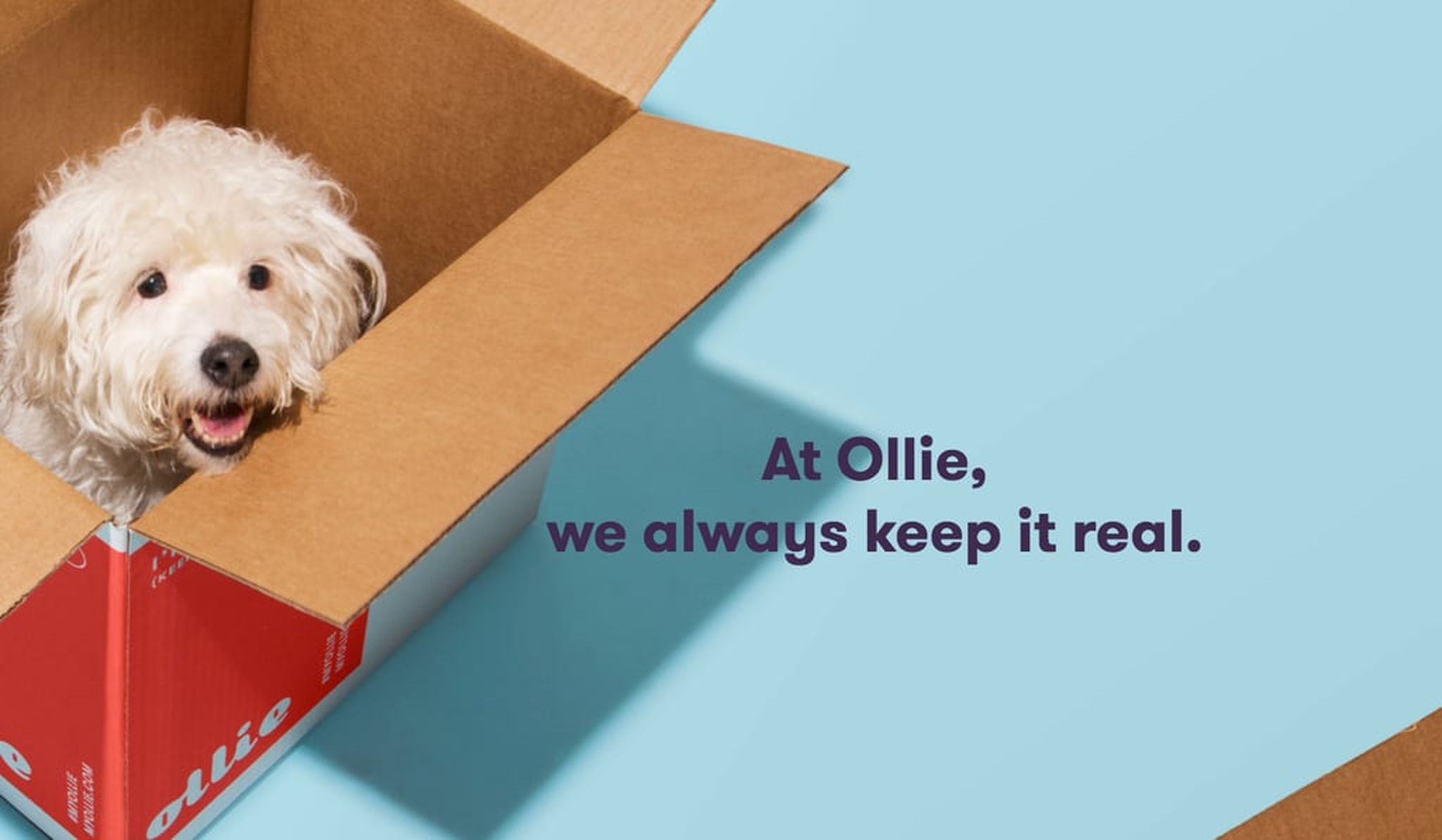 At Ollie, we always keep it real.