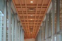 A long hallway with a wooden ceiling with Fortina panels running vertically across. Glass windows make up both sides of the hallways leading to a yellow lit room.