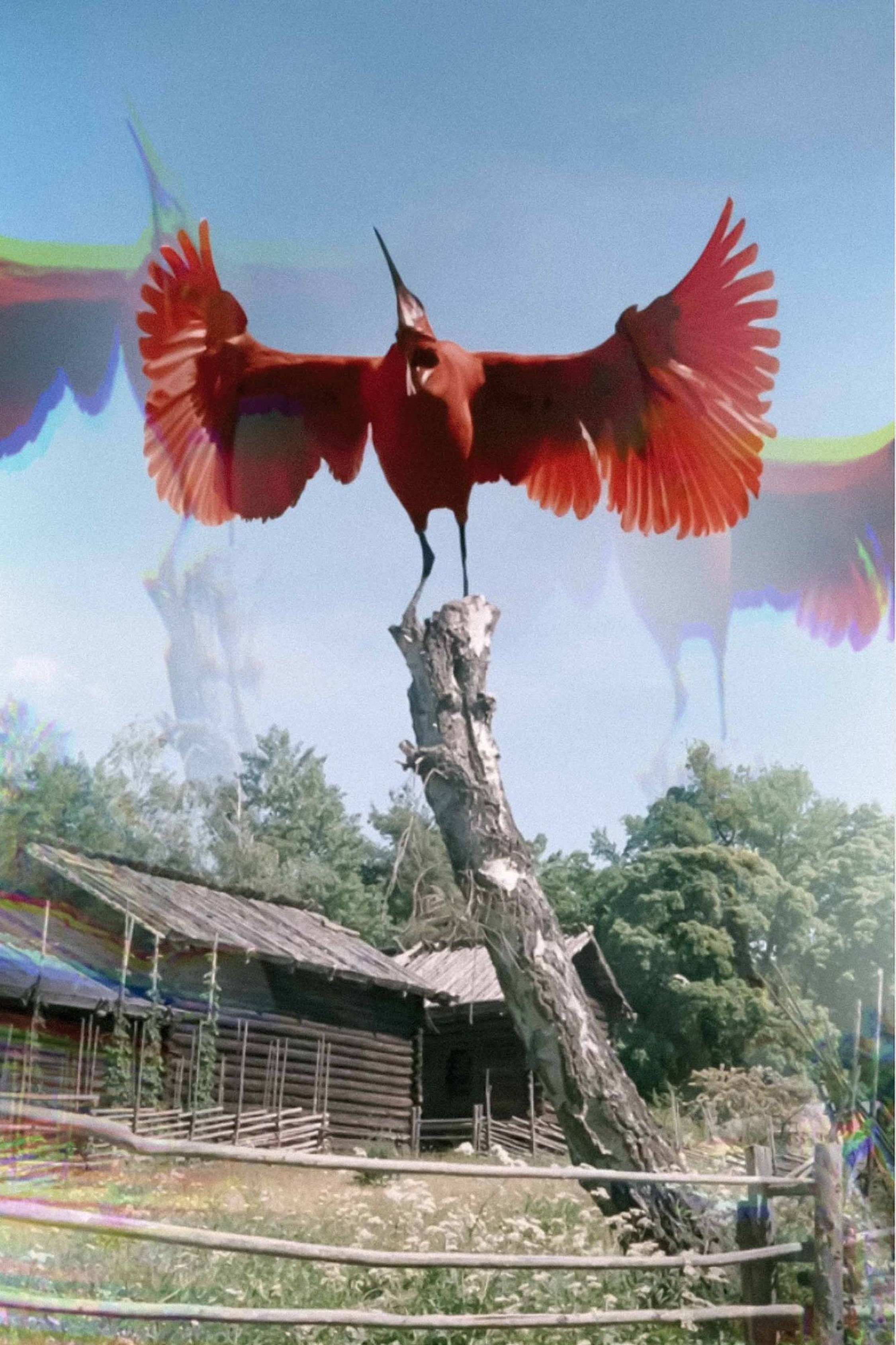 Falurod on acid