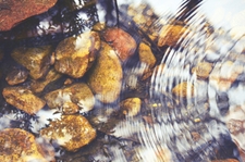 Kan and Li Online Course | Harness the Power of Alchemical Qi Gong with ...