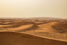 Moving to the United Arab Emirates: The Essential Guide
