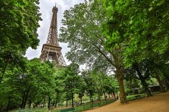 Eiffel tower from Champs de Mars