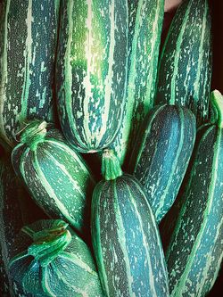 Zucchiniplättar