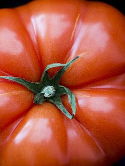 Tomatsoppa med risoni