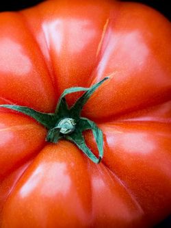 Tomatlinssås