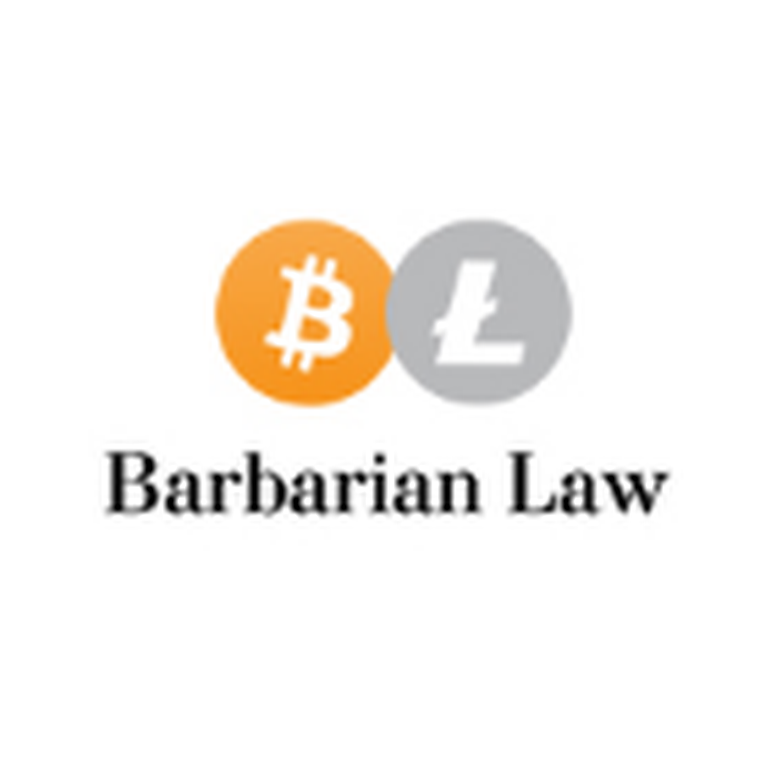 Karim Eshqoor, Business Lawyer & Transaction Advisor at Barbarian Law - Testimonial