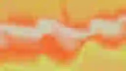 LQIP