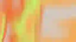 LQIP