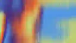 LQIP