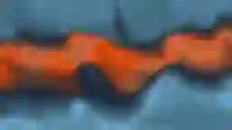 LQIP