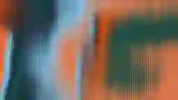 LQIP