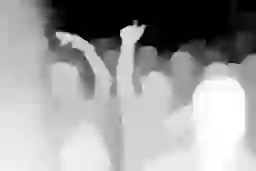 LQIP