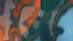 LQIP