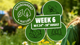 Green environment badge with icons of nature, bee, globe, and forest. Text: "Week 6, W/C 24th-28th August." Blurred nature background.